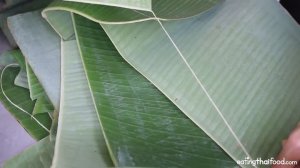 Thai Fish Grilled in a Banana Leaf Recipe (วิธีทำ แอ๊บปลานิล)