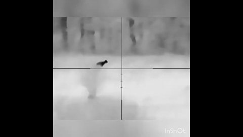 Олень в тепловизионный прицел GUIDE TU650 (320 метров)