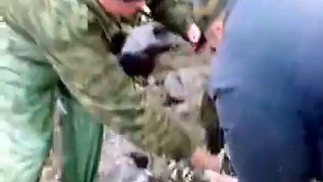 Нерест корюшки в мае, полные мешки. смотреть онлайн