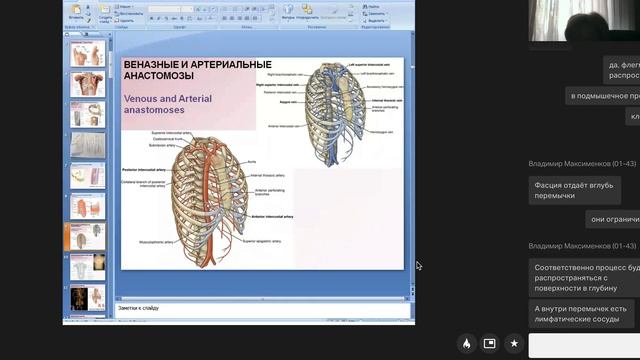 Топографическая анатомия грудной стенки (часть 1)