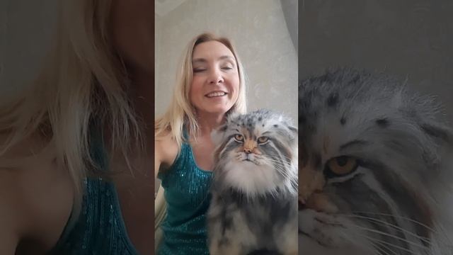 8 марта, Манул Ларот и дальнейшие планы смотреть онлайн