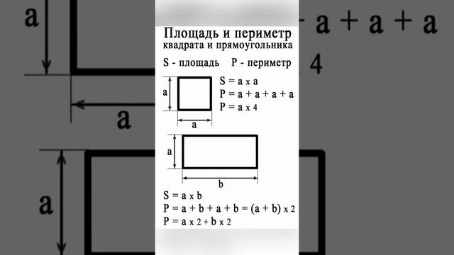 Площадь и периметр квадрата и прямоугольника