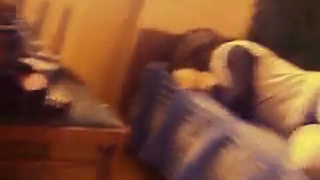 23 02 2011 день рождение Анны и Гали 95 смотреть онлайн