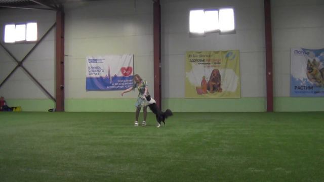 Третьякова Екатерина и Айскнехт Мирта класс Открытый Фристайл смотреть онлайн