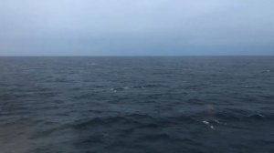 шум моря слушать онлайн звук морских волн океана и прибоя бесплатно. звук ветра в хорошем качестве