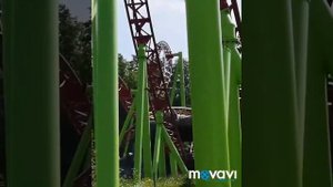 Диво Остров.Санкт-Петербург.Июнь 2019