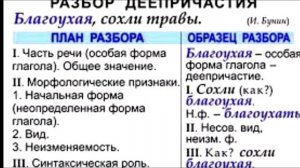 МОРФОЛОГИЧЕСКИЙ РАЗБОР ЧАСТЕЙ РЕЧИ__ПОДСКАЗКИ