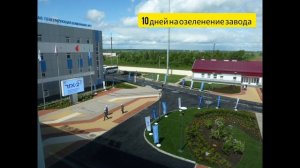 17 лет в ландшафтном дизайне.