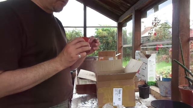 Cactus Haul #3 - What came in the post from 'donald 5798' eBay UK смотреть онлайн