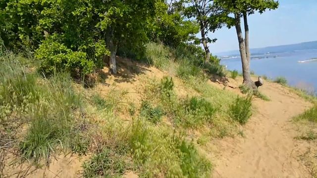 Красивый вид с обрыва Тольятти смотреть онлайн