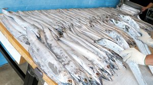 Продажа 1000 порций рыбы в день! Гигантский рыбный комплексный обед на гриле. / Корейская еда