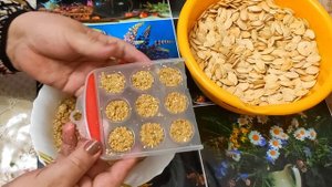 ТЫКВЕННЫЕ СЕМЕЧКИ  для мужчин. Одна конфетка в день творит чудеса у женщин и мужчин в организме