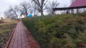 САНАТОРИЙ ТИНАКИ АСТРАХАНЬ КЛУБ ВЫХОДНОГО ДНЯ