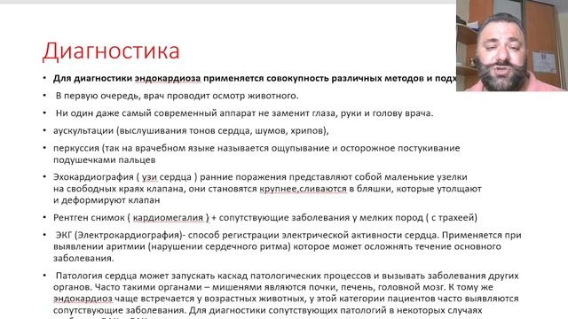 Эндокардиоз у собак ( для владельцев) смотреть онлайн