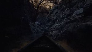 Фото неуловимой рыбы Resident EVIL 8 VILLAGE