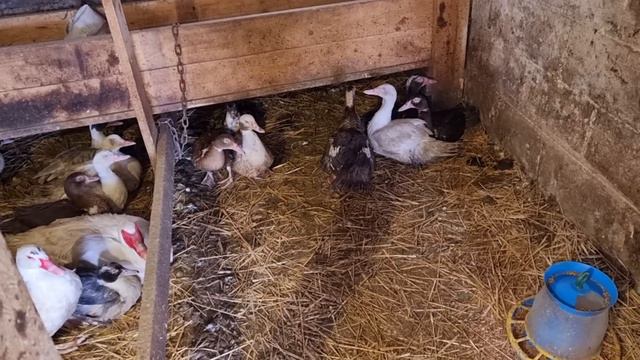 15 января 2022 г. смотреть онлайн