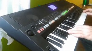 Terasa Werner Dalabym Ci dala Yamaha psr s650 COVER