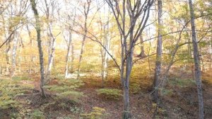 Где и как купить участок в Горячем Ключе ?? для строительства дома?