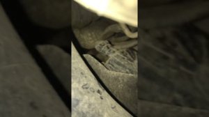 Где номер двс В48В БМВ