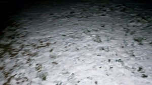 Bosch GLI 12V-300,Bosch GLI 12V-330. Обзор, распаковка , сравнительный тест. рабочие  лампы.