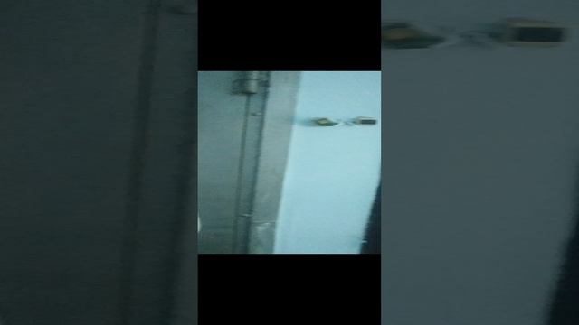 видео квартиры