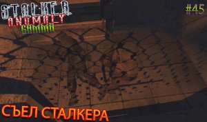 СЪЕЛ СТАЛКЕРА | STALKER ANOMALY GAMMA | Серия 45