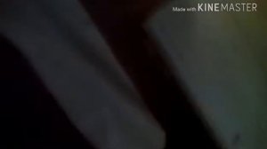 Обзор на вольер для морской свинки