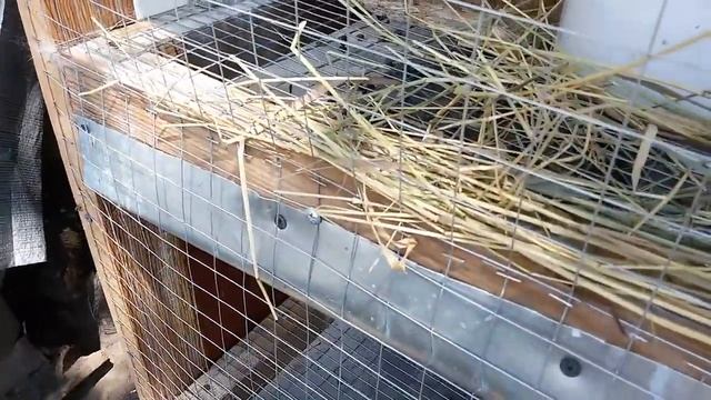 Сенник для кроликов. Кормление кроликов смотреть онлайн
