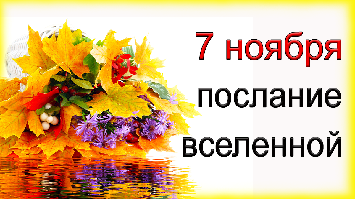 ПОСЛАНИЕ ВСЕЛЕННОЙ НА 7 ноября.*Эзотерика Для Тебя*