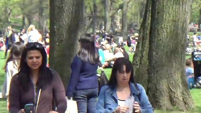 Централ парк Нью-Йорк США (Central Park)#8