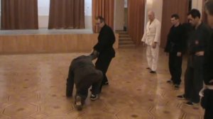 феникс джиу джитсу 37