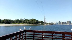 Крик Парк в Дубае / Dubai Creek Park