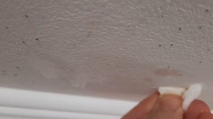 Как Избавиться от Плесени Ароматный Способ