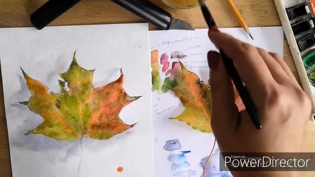 Живопись акварелью осеннего листа с натуры смотреть онлайн