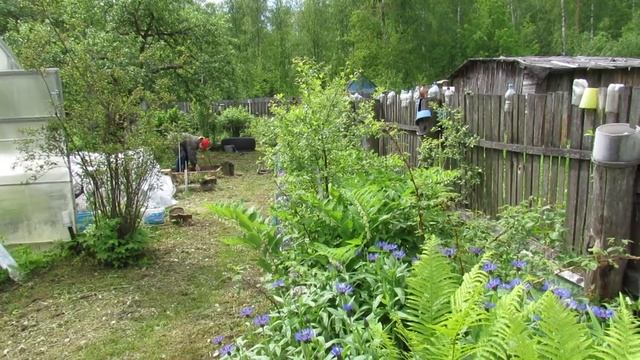 Какой шашлык готовить на даче смотреть онлайн