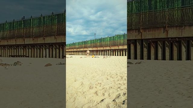 Шум моря. Балтика
