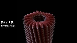 Houly 2020. Days 1—31