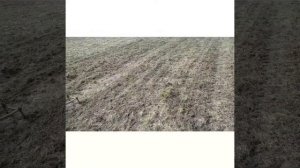 Работы по улучшению сенокосов и пастбищ.