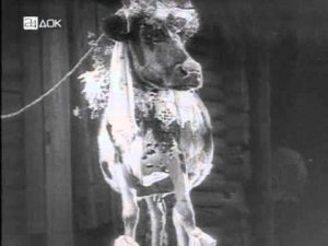 28 Преступление в стиле модерн Предшественник Корейко