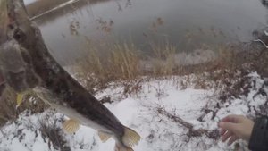 Ловля пассивной щуки поздней осенью