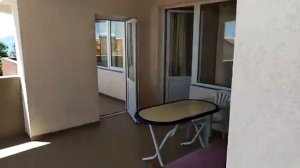 Дельфин Алушта