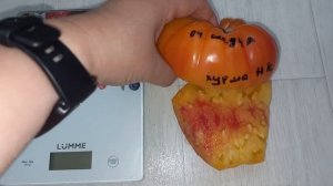 Томат Хурма от 7 производителей: обзор сорта Хурма, характеристики, урожайность и какой на вкус