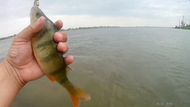РЫБАЛКА на спиннинг во время дождя ловим ОКУНЕЙ на блесну. смотреть онлайн