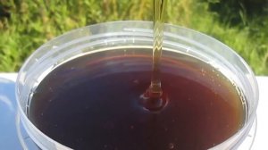 АЛТАЙСКИЙ МЕД ДИКИЙ