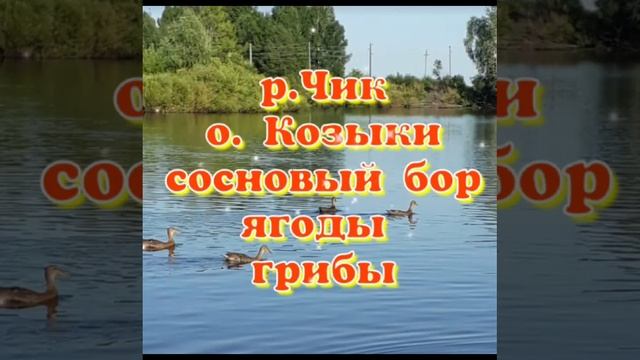 ПЕРЕЕЗД НА ПМЖ.ОЗНАКОМЛЕНИЕ-ПУТЕШЕСТВИЕ ПО НАСЕЛЕННЫМ ПУНКТАМ НОВОСИБИРСКОЙ ОБЛАСТИ. СЕЛО СОКОЛОВО