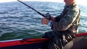 Морская рыбалка. Треска.