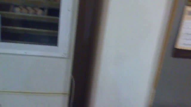 Инкубатор из холодильника 3 смотреть онлайн