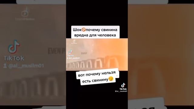 Шок ? ? почему Свинина вредна для человека. Ты Кушаешь Свинина ??   пиши если ты не кушаешь Свинина