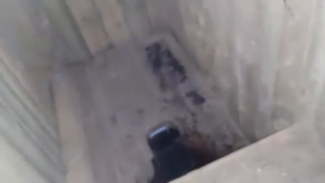 Шкода Октавия А5 1.6 BSE замена масла и свечей без снятия коллектора смотреть онлайн