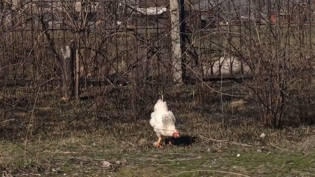 16 марта народный праздник ЕВТРОПИЕВ ДЕНЬ . народные приметы и традиции смотреть онлайн